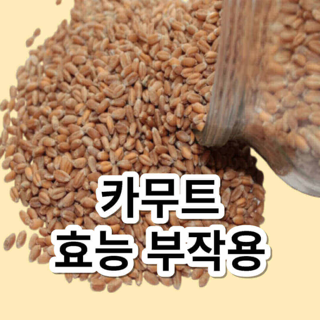 카무트 효능 부작용