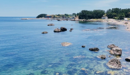 제주속으로 렌트카 가격비교사이트 체크사항