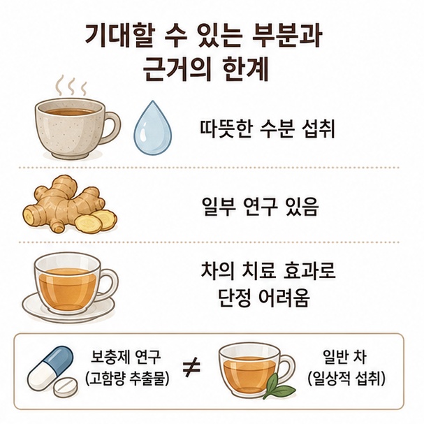 생강에 일부 인체 연구가 있지만 보충제 연구 결과를 일반적인 대추생강차의 치료 효과로 단정할 수 없음을 설명한 이미지