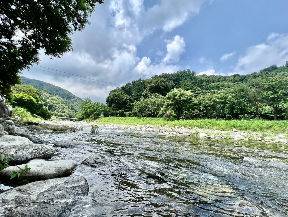 가평-네스트-캠핑장