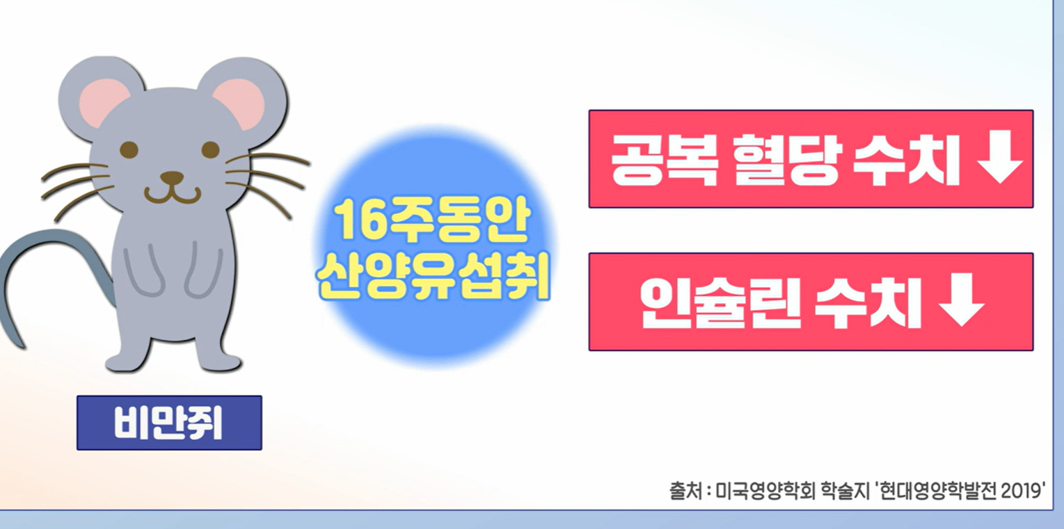 산양유 단백질 효능