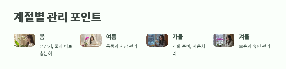 호접란 키우는법 쉽게 정리 16