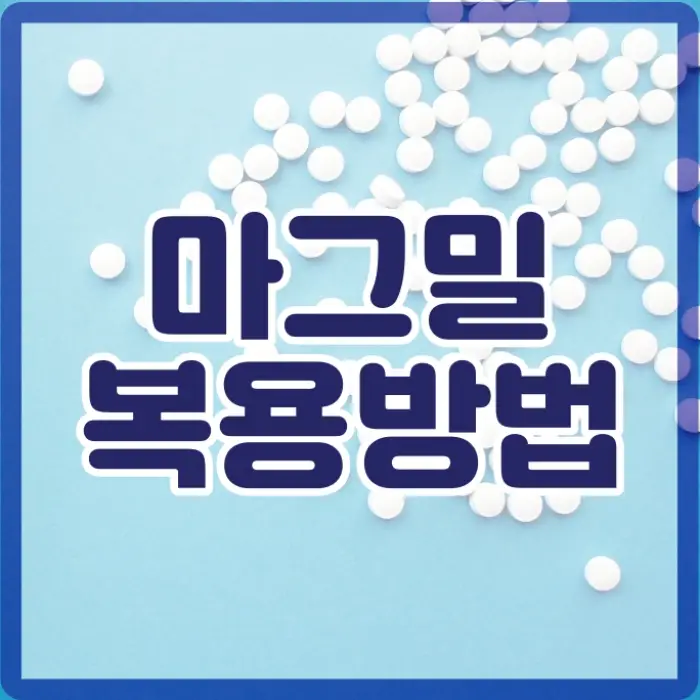 마그밀 효과