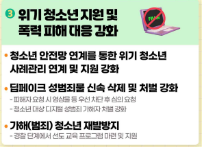 청소년보호종합대책