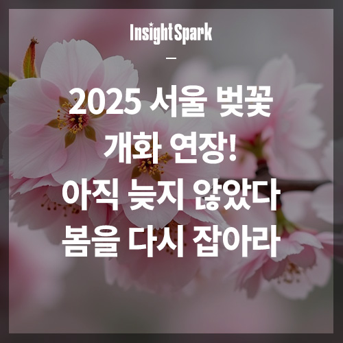 2025 서울 벚꽃 썸네일