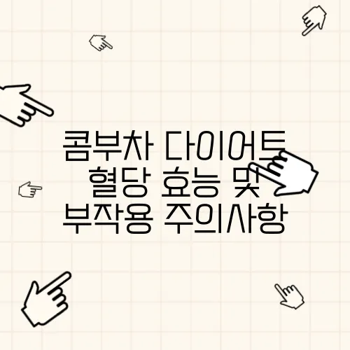 콤부차 다이어트 혈당 효능 및 부작용 주의사항