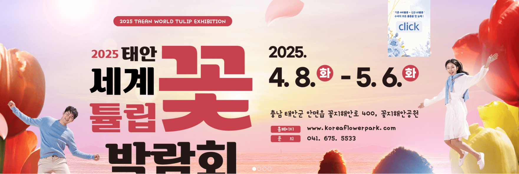 태안 튤립축제 기간 입장료 가는길