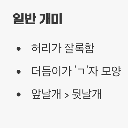 이름은 '개미', 정체는 '바퀴벌레 사촌'