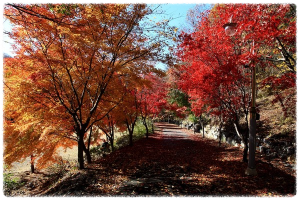 성주산