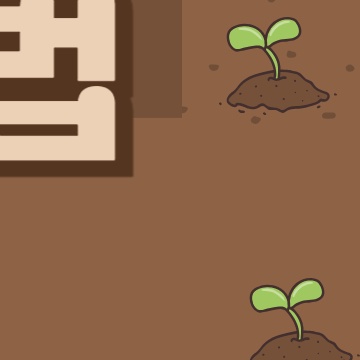 상추 모종 물주기