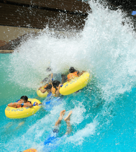 오션월드 운영시간,입장권 할인, 숙박패키지, 셔틀버스, 카바나 예약, 오션패스