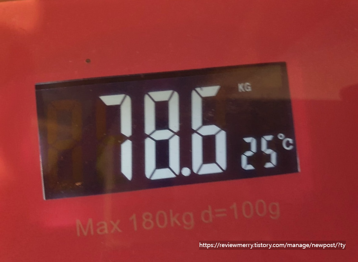 섭추 후 몸무게