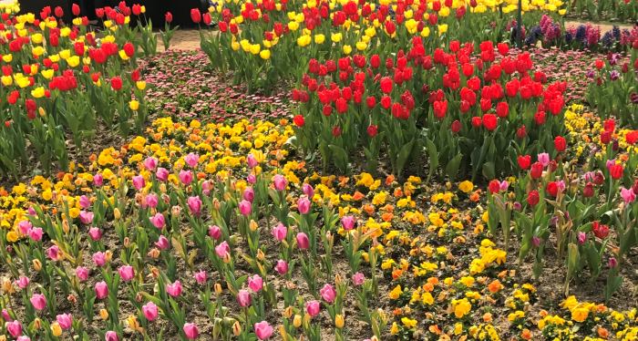 에버랜드-페어리타운