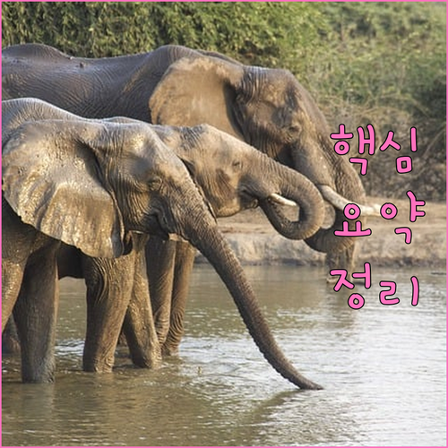 개인회생 모든 빚 탕감 가능할까 채무