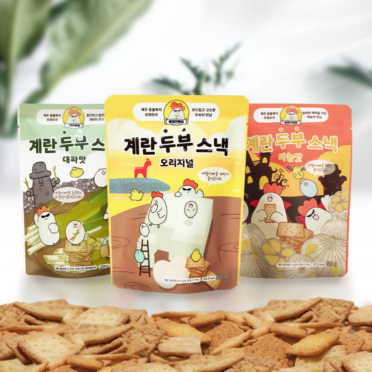 생방송투데이 제주 달걀 공장