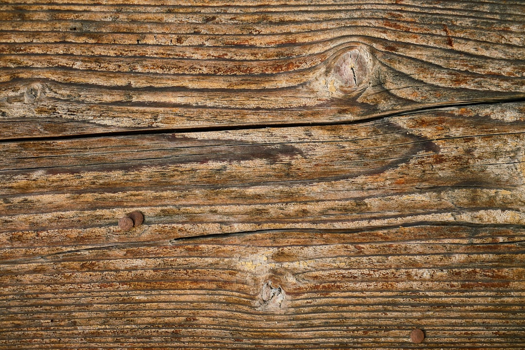 Plank