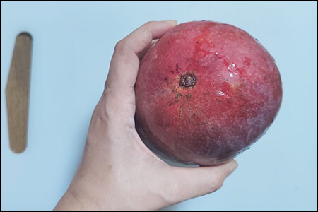 망고를 세로로 잡고 있는 손