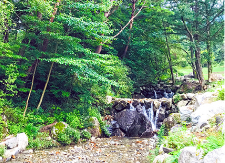 가야산 생태탐방원 전경