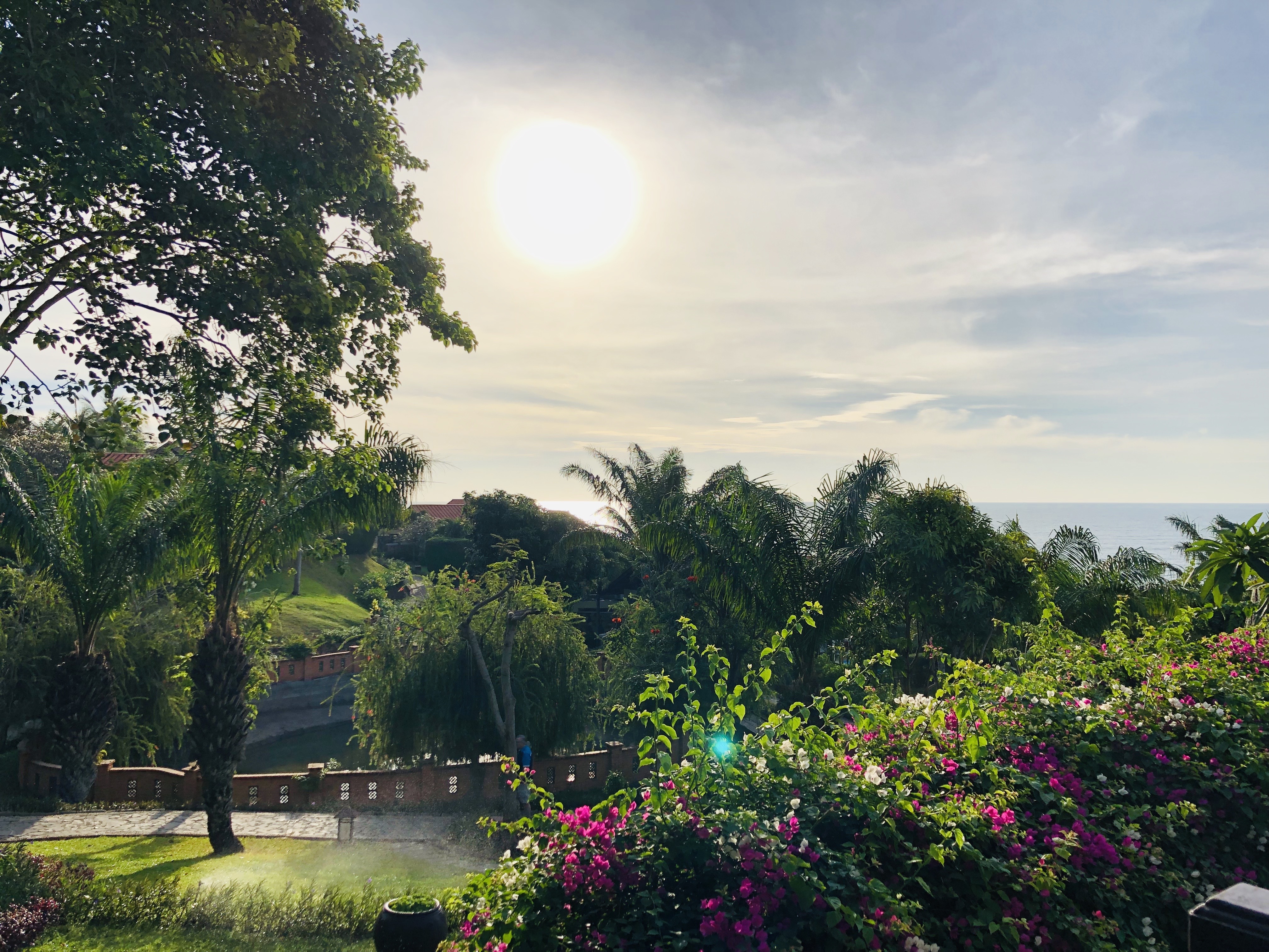 베트남 무이네 여행에서 아름다운 열대 모습