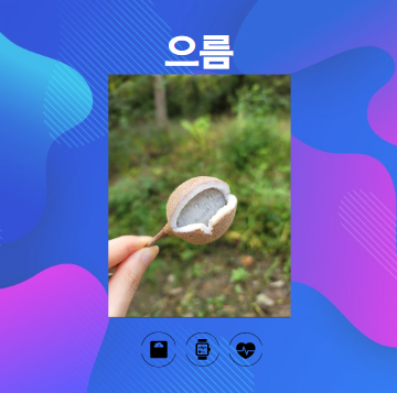 으름이란 무엇인가?