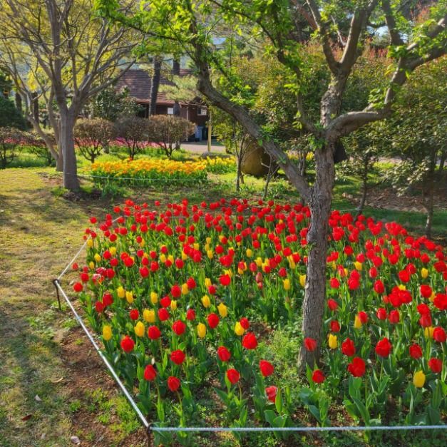 [4월~ 5월 축제]퍼스트가든 별빛축제❘애견놀이터, 5월 어린이날 이벤트, BBQ 비비큐 피크닉 축제 예약 방법