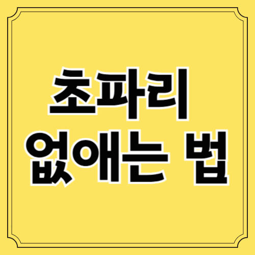 초파리 없애는 법