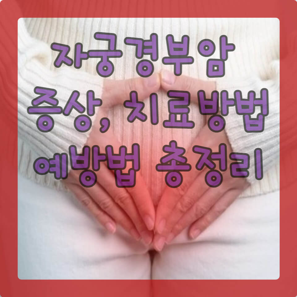 자궁 경부암 증상 예방 치료방법