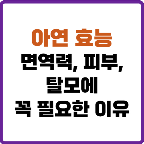 아연 효능