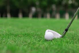 드라이버 샤프트 강도 선택 요령