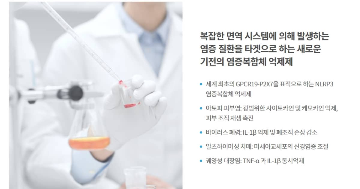 샤페론 이미지