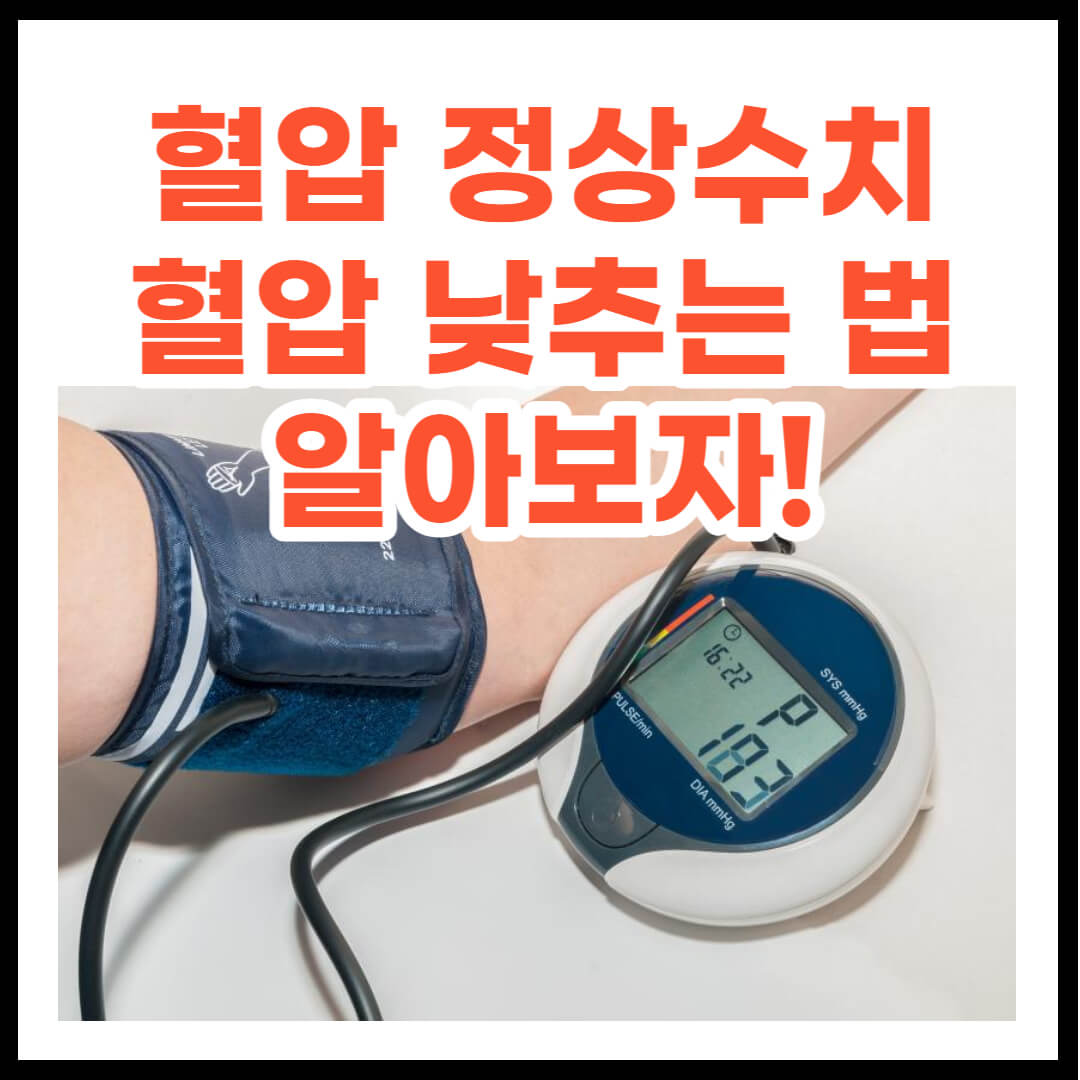 혈압 정상수치 및 혈압 낮추는 법