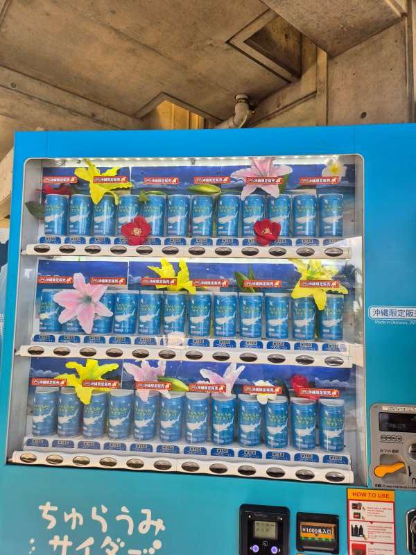 츄라우미수족관-꿀팁