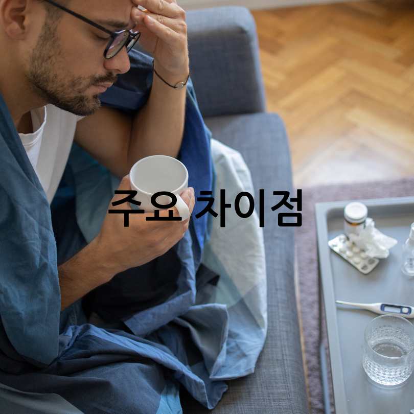 A형독감과 B형독감 차이