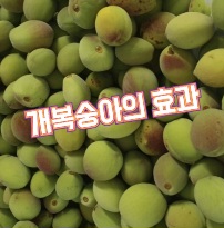 개복숭아-액기스-효능