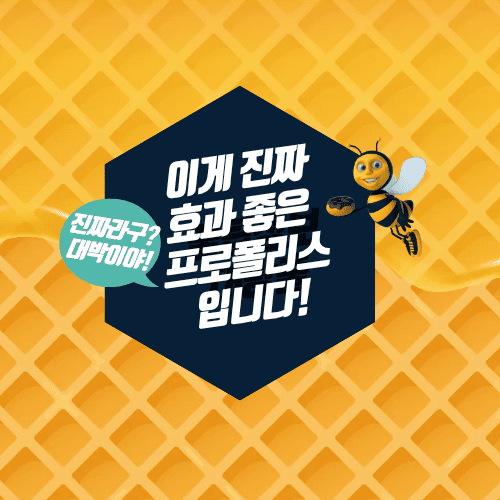 프로폴리스 효능