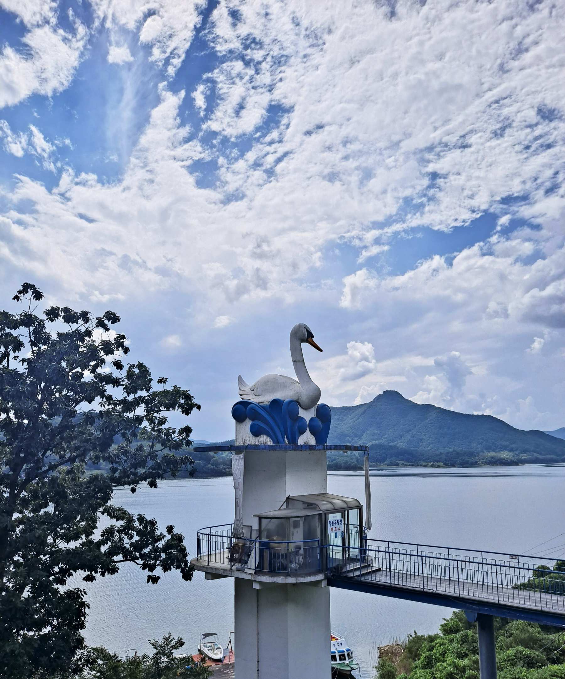 청풍랜드 백조조각상