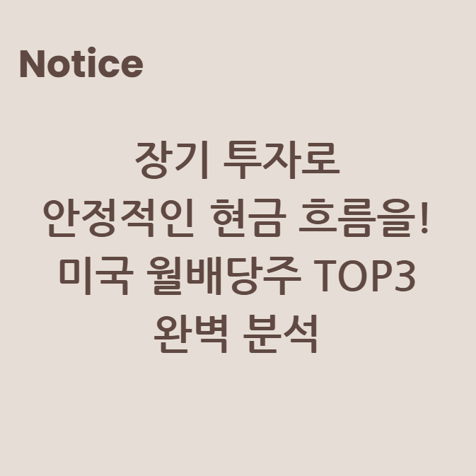 장기 투자로 안정적인 현금 흐름을! 미국 월배당주 TOP3 완벽 분석