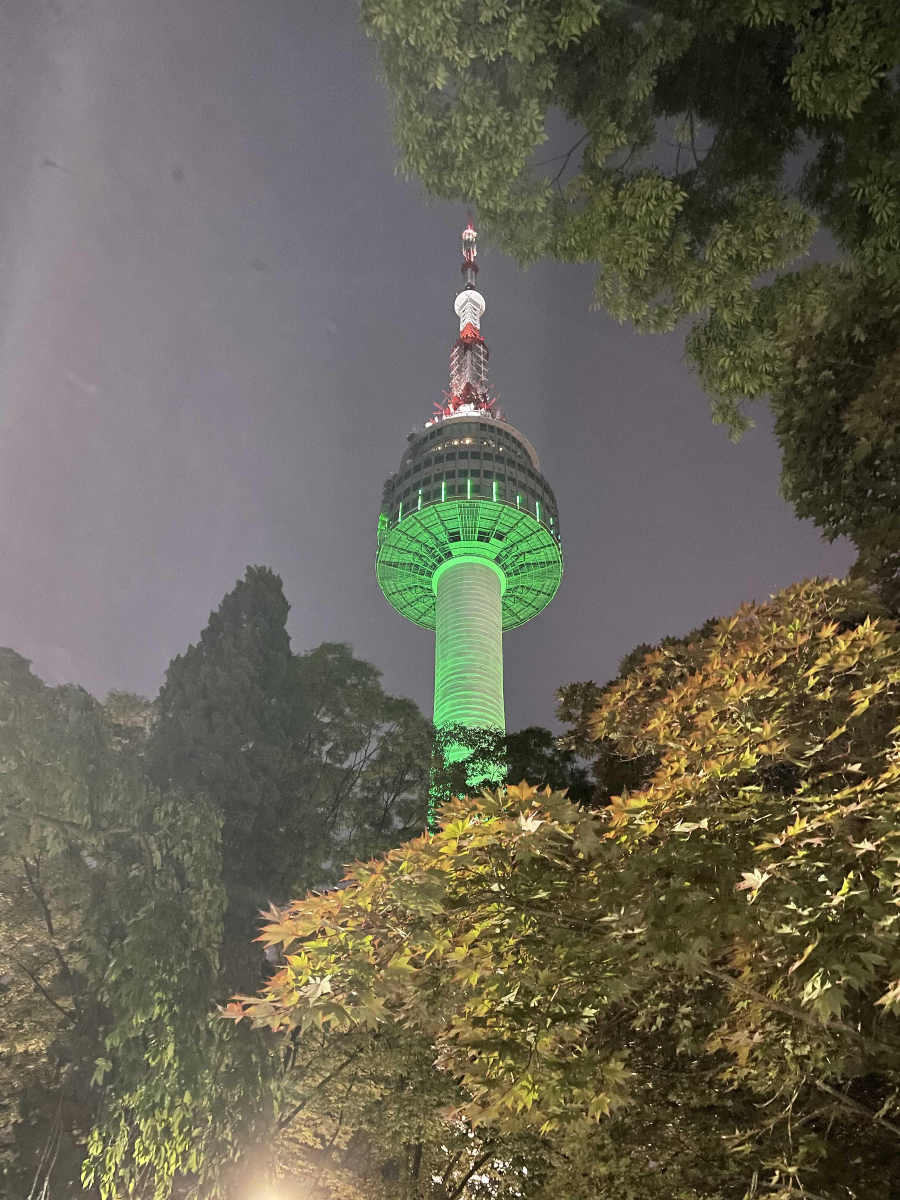 남선서울타워 밤소풍