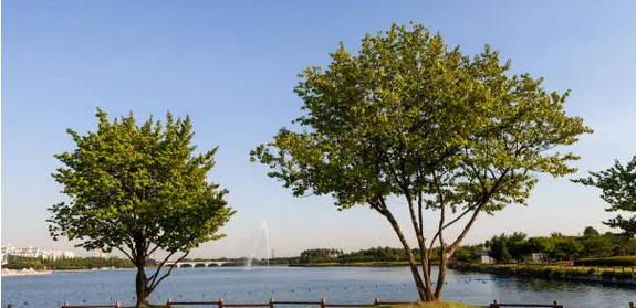 사랑하는 사람과 함께 보내는 일산 로맨틱한 데이트