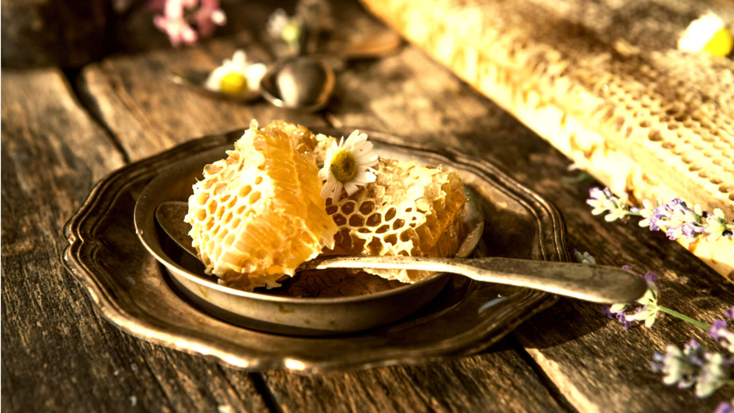 놀라운 효능을 가진 프로폴리스