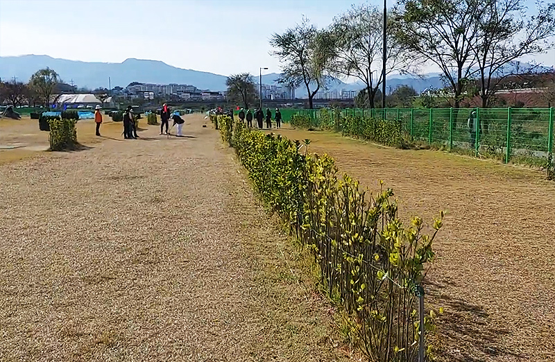 강원도 강릉시 강릉파크골프장 소개