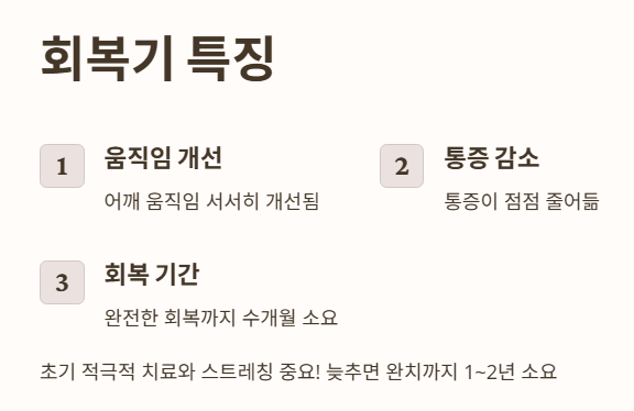 오십견의 주요 증상 회복기