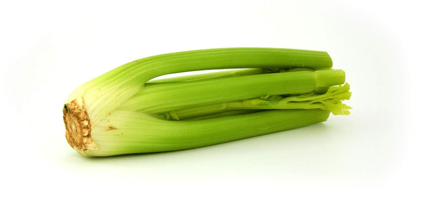 야채 셀러리 사진 - 09