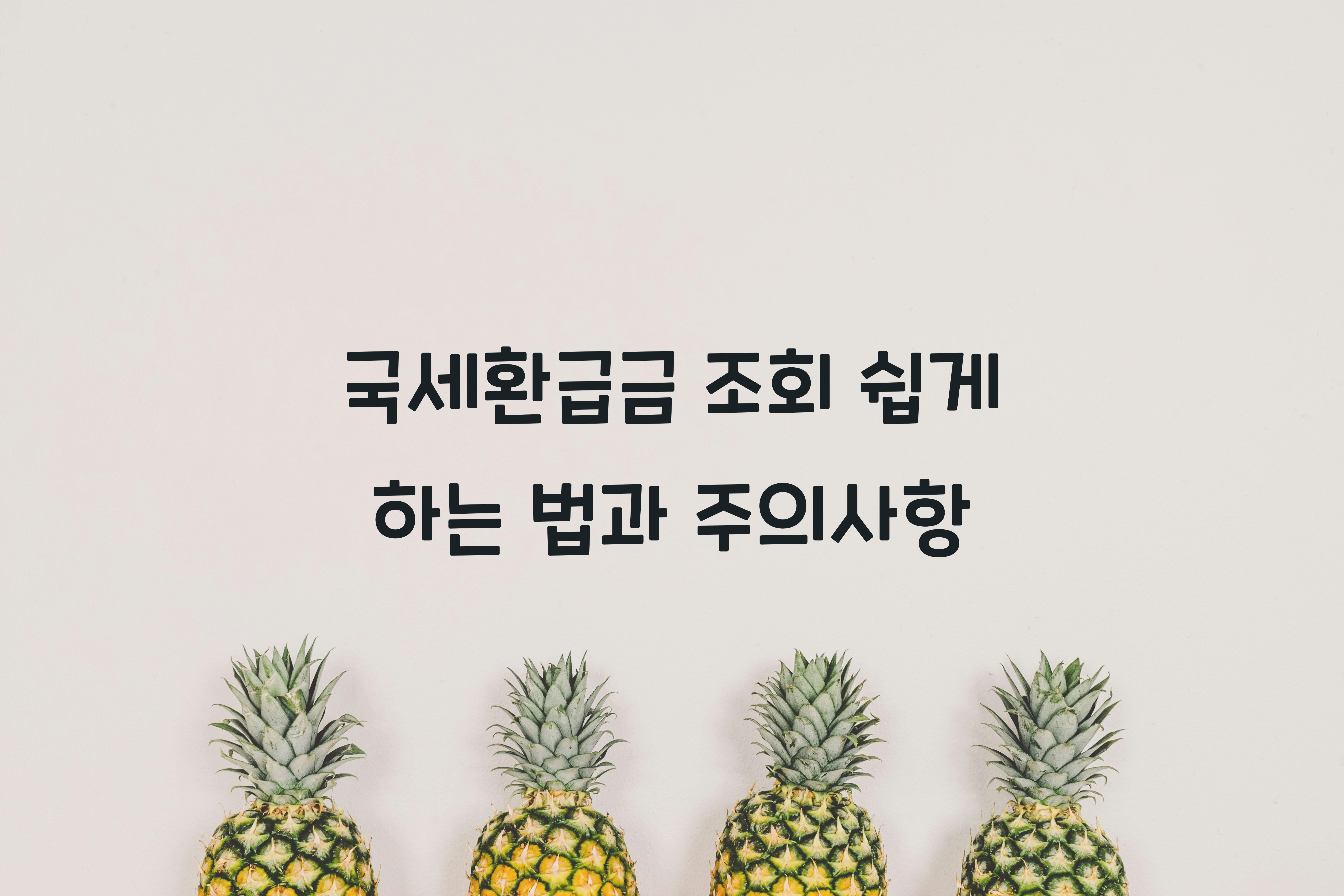 국세환급금 조회