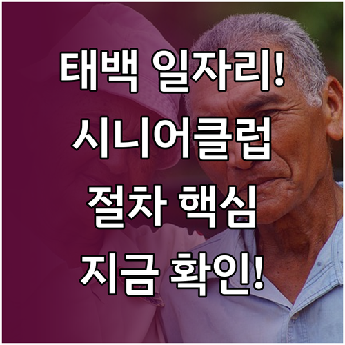 태백시 시니어클럽 채용 공고 노인 일..