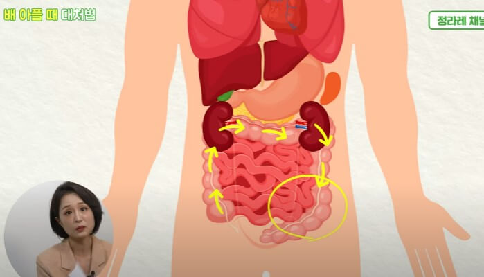 배아플때 대처법, 복부 위치에 따라 통증이 다릅니다.