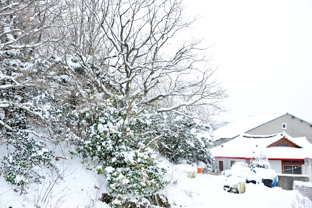 2022년 1월 목회 기도문