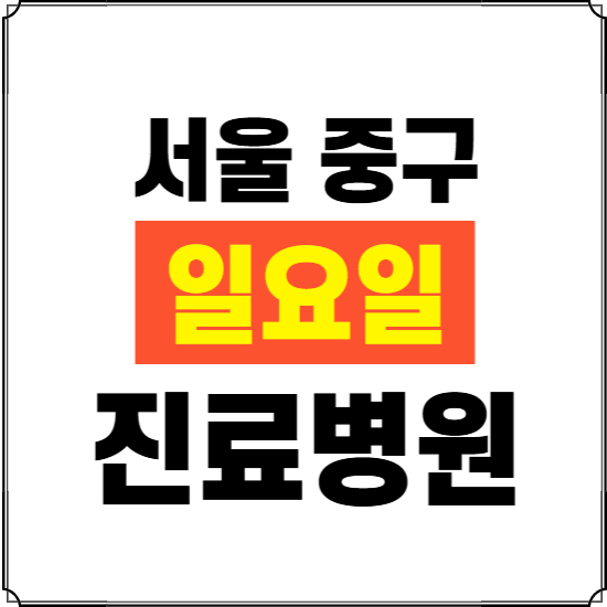 서울 중구 일요일 진료병원 찾기 ❘ 24시 휴일 주말 응급 야간 심야 문여는 병원