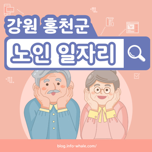 홍천군 노인일자리 구직