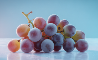 포도 효능